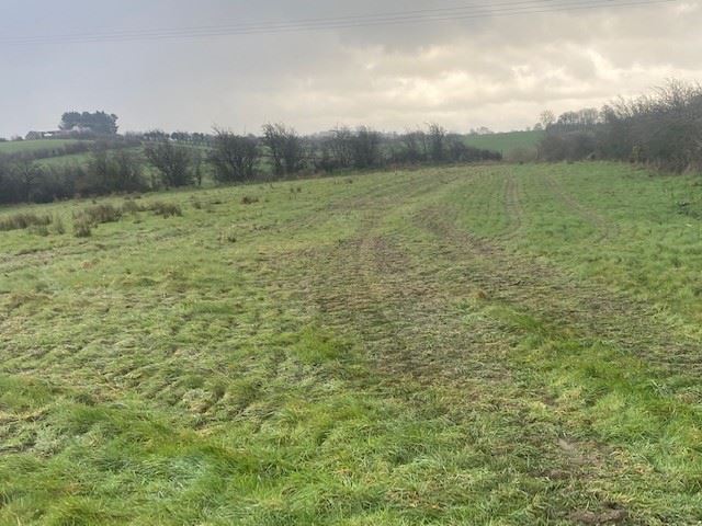 Greagh, Loughmourne, Castleblayney, Monaghan