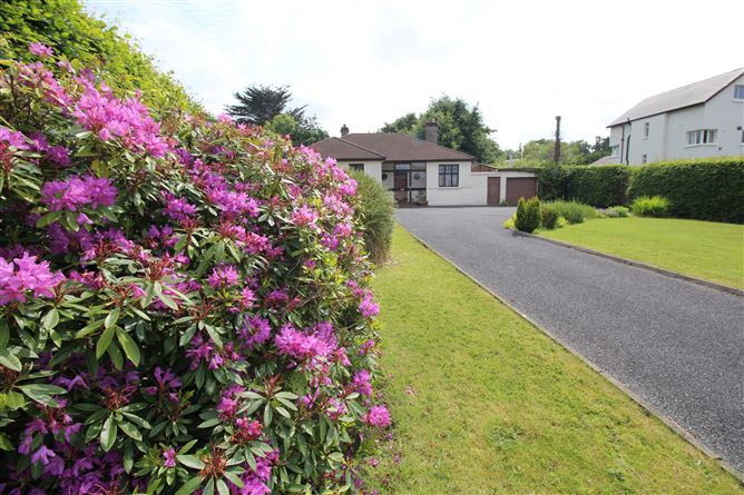 Dublin road, Longford, Longford