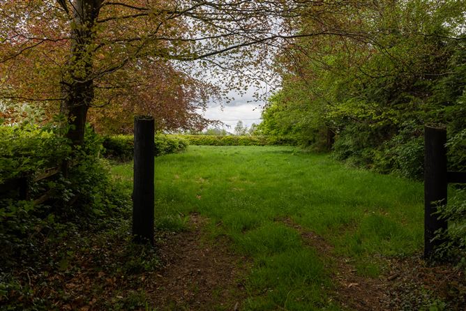 https://photos-a.propertyimages.ie/media/4/7/1/4999174/2c6daf00-9a8f-4ab5-9ae0-4d6f039a6170_l.jpg