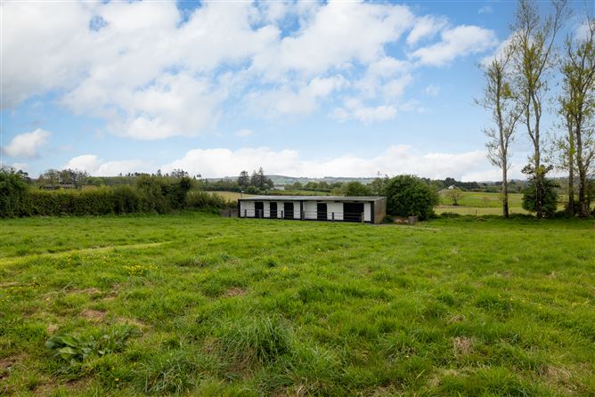 https://photos-a.propertyimages.ie/media/4/7/1/4999174/2c6daf00-9a8f-4ab5-9ae0-4d6f039a6170_l.jpg
