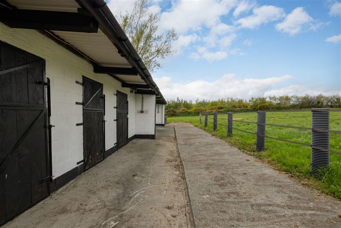 https://photos-a.propertyimages.ie/media/4/7/1/4999174/2c6daf00-9a8f-4ab5-9ae0-4d6f039a6170_l.jpg