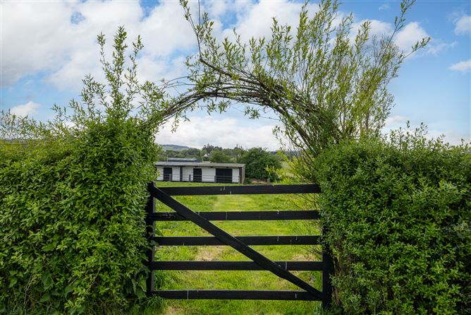 https://photos-a.propertyimages.ie/media/4/7/1/4999174/2c6daf00-9a8f-4ab5-9ae0-4d6f039a6170_l.jpg