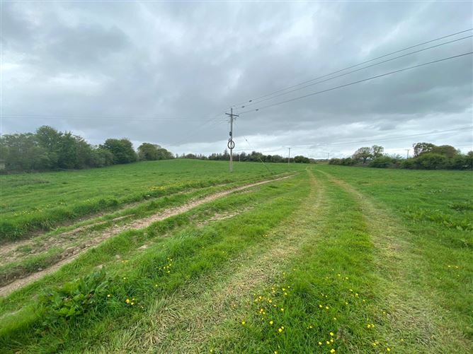 26.8 Acres/10.85 Hectares Coolgarri, Coolgarriv, Killarney, Co. Kerry