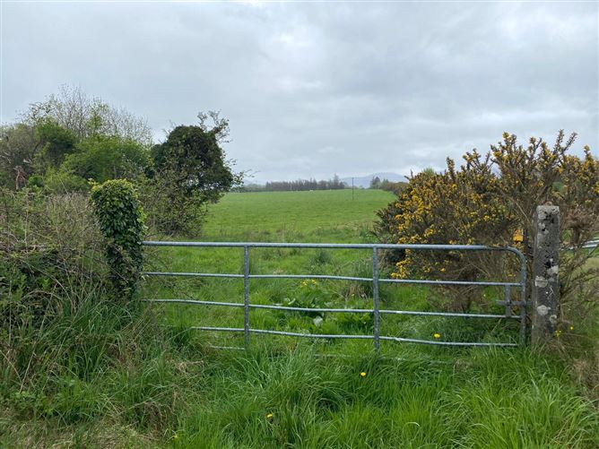 26.8 Acres/10.85 Hectares Coolgarri, Coolgarriv, Killarney, Co. Kerry