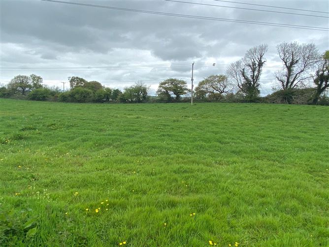26.8 Acres/10.85 Hectares Coolgarri, Coolgarriv, Killarney, Co. Kerry