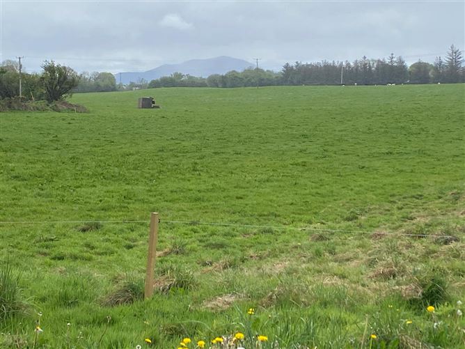 26.8 Acres/10.85 Hectares Coolgarri, Coolgarriv, Killarney, Co. Kerry