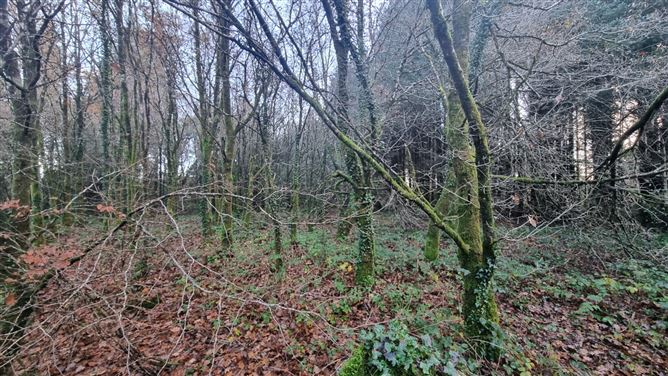 Corlough Health Centre, Corlough, Co. Cavan