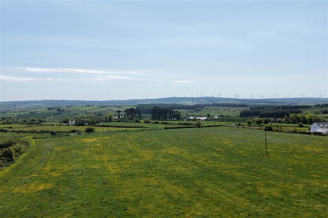 LOT 5: 29.85 Acres Rathea, Listowel, Co. Kerry