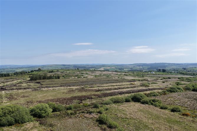 LOT 5: 29.85 Acres Rathea, Listowel, Co. Kerry