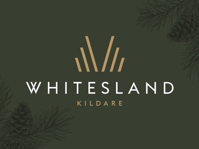 25 Whitesland, Rathbride Road, Kildare Town, Co. Kildare