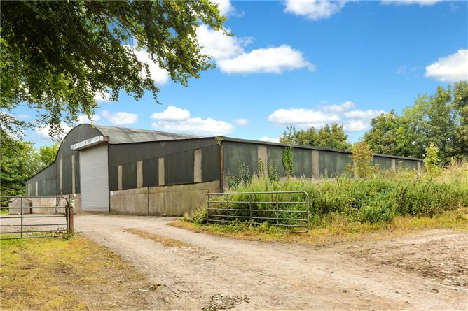 Lot 1 - Snowtown House, Naul, Co. Meath