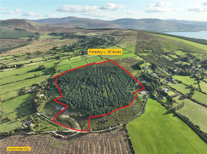Forestry Land c. 30 Acres / 12.14 HA., Blackrock, Blessington, Wicklow