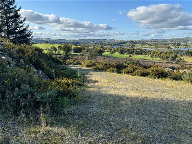 Forestry Land c. 30 Acres / 12.14 HA., Blackrock, Blessington, Wicklow