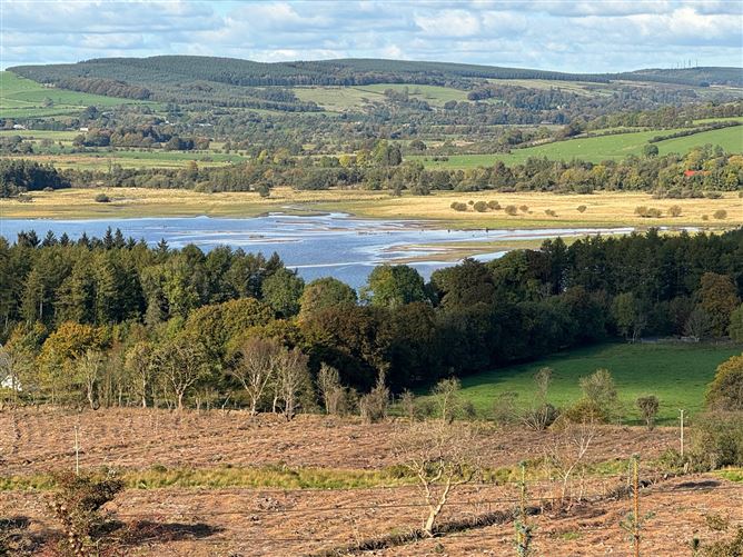 Forestry Land c. 30 Acres / 12.14 HA., Blackrock, Blessington, Wicklow