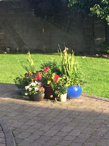 Beautiful detached home, "Baile Átha Troim