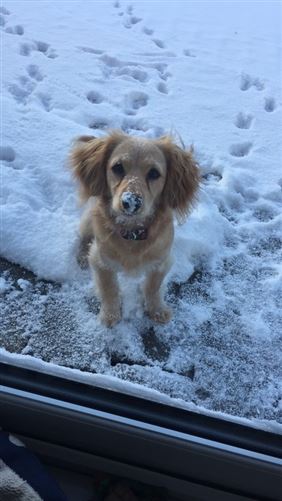 Beautiful detached home, "Baile Átha Troim