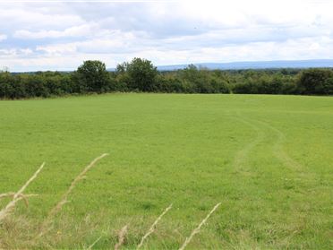 Image for Site At Boher, Ballycumber, Co. Offaly
