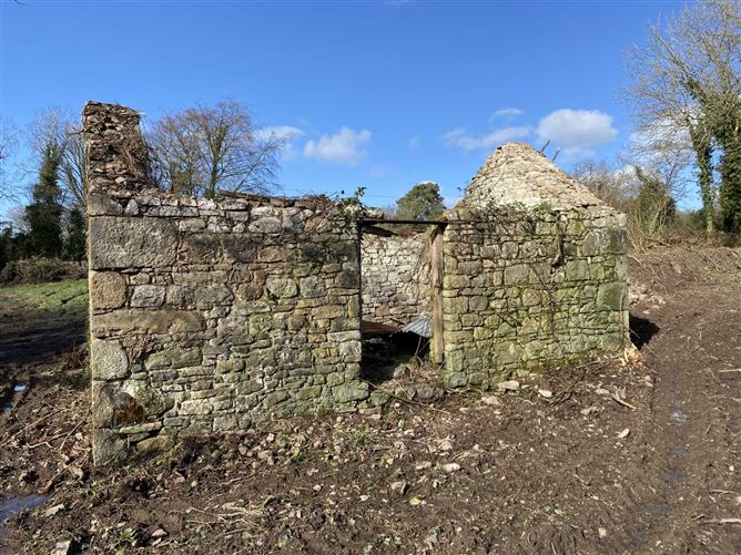 Castlecrine, Sixmilebridge, County Clare