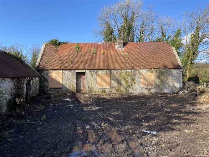 Castlecrine, Sixmilebridge, County Clare