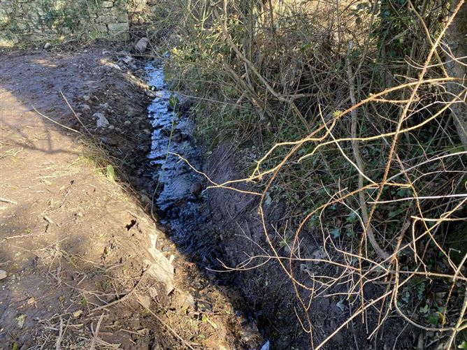 Castlecrine, Sixmilebridge, County Clare