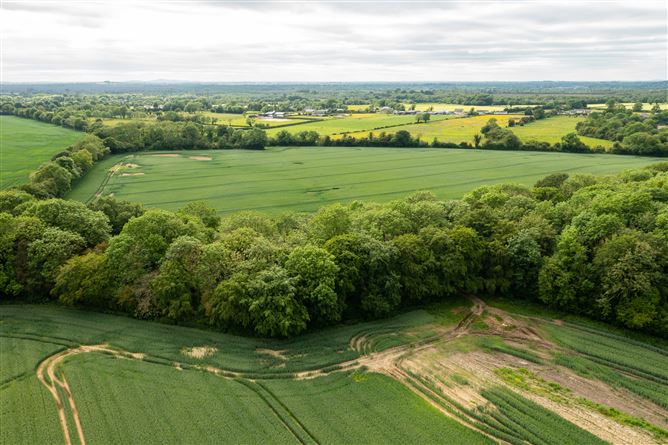 Drummin House On Approx. 345 Acres, Carbury, Co. Kildare