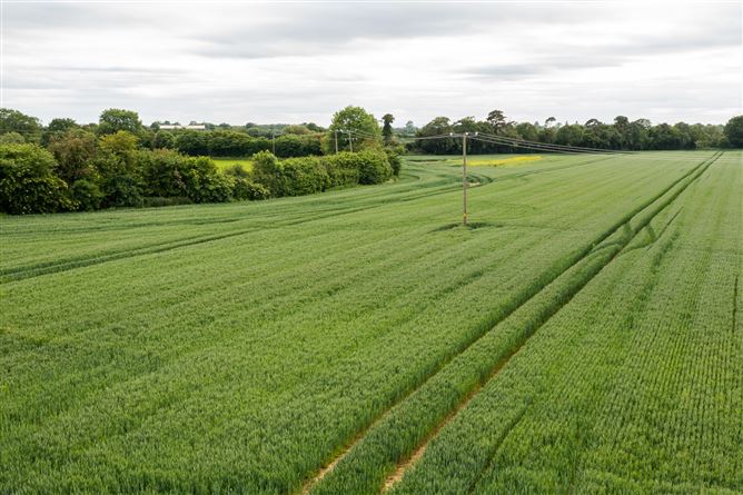 Drummin House On Approx. 345 Acres, Carbury, Co. Kildare
