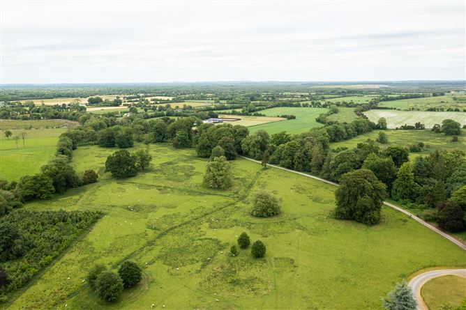Drummin House On Approx. 345 Acres, Carbury, Co. Kildare