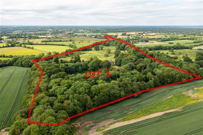 Drummin House On Approx. 345 Acres, Carbury, Co. Kildare