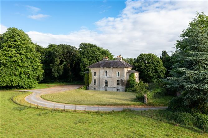 Drummin House On Approx. 345 Acres, Carbury, Co. Kildare