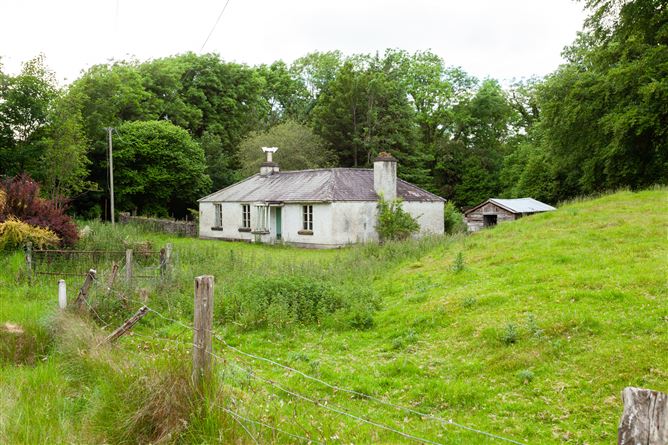 Drummin House On Approx. 345 Acres, Carbury, Co. Kildare