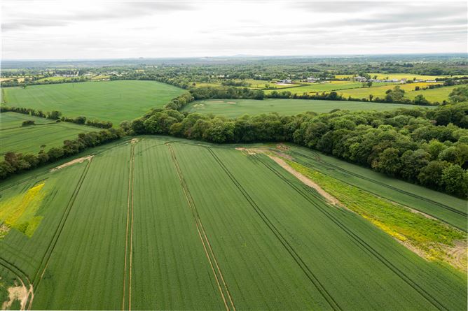 Drummin House On Approx. 345 Acres, Carbury, Co. Kildare