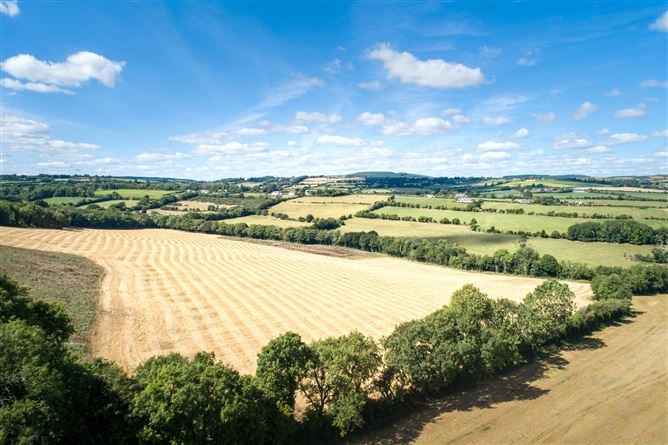 Brownstown, Tullogher, Co. Kilkenny