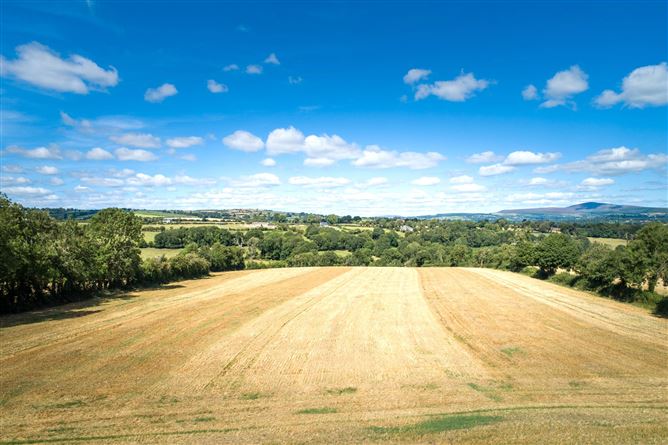 Brownstown, Tullogher, Co. Kilkenny