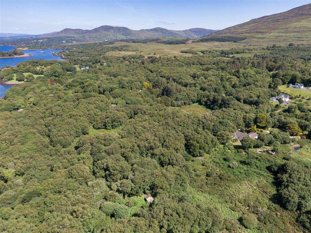 Cedar Creek Cottage, Feorus West, Kenmare, Co. Kerry, V93KV56 Cedar Creek Cottage, Feorus West, Kenmare, Co. Kerry, V93KV56