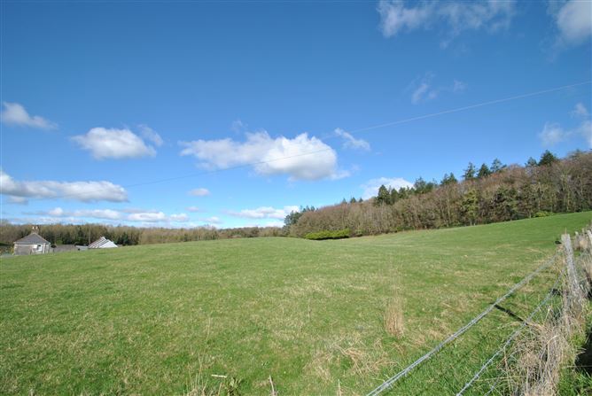 Gloster, Brosna, Birr, Co. Offaly