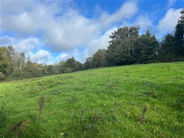 Image for Ballynultagh (1.8 Acre Site), Shillelagh, County Wexford