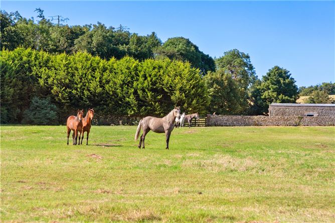 Rathcline, Lanesborough, Co. Longford