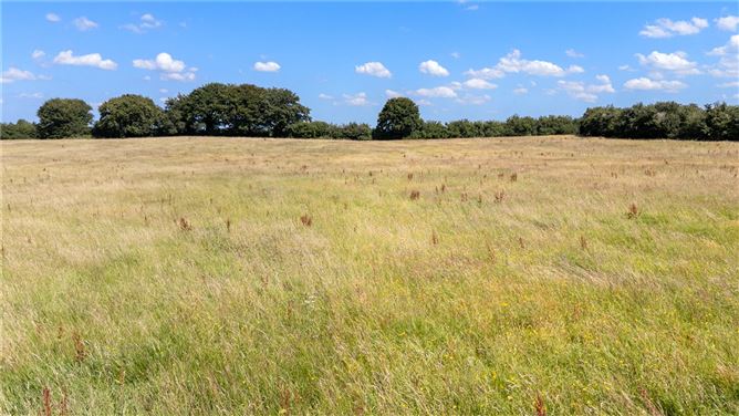 Rathcline, Lanesborough, Co. Longford