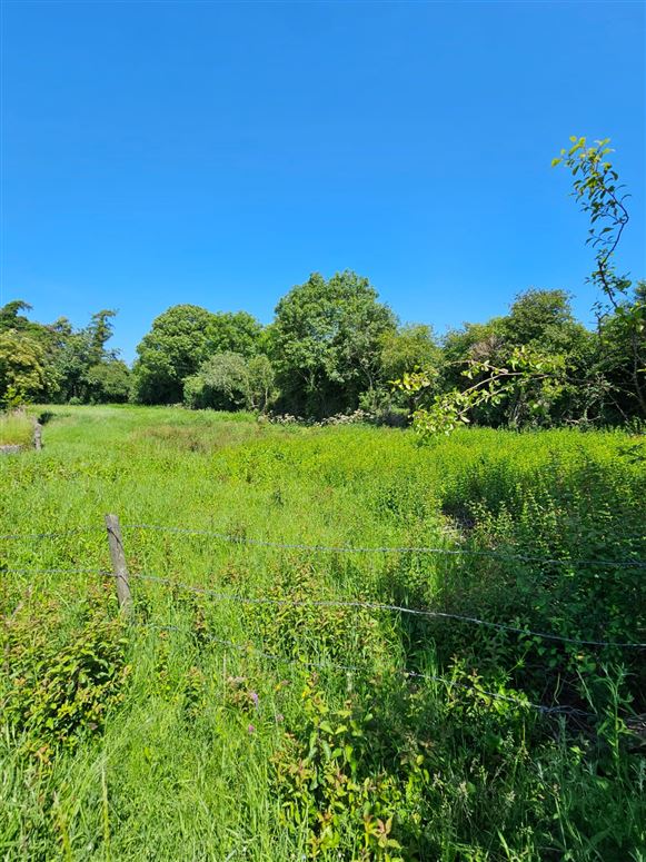 Clonkeen, Carbury, Kildare