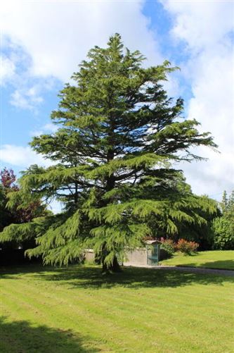 Greenmount House, Crooke, Passage East, Waterford