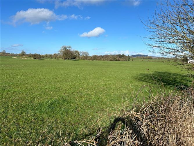 Turbotstown, Castlepollard, Westmeath Sherry FitzGerald Davitt