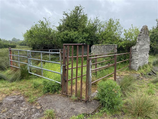Cloghadoolarty North, Carnane, Fedamore, Limerick, County Limerick