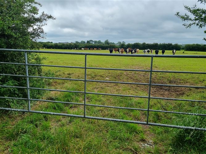 Rathmore North, Meanus, Limerick