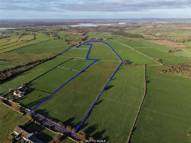C. 16.75 Acres At, Torpanbeg, Ballyforan, County Roscommon