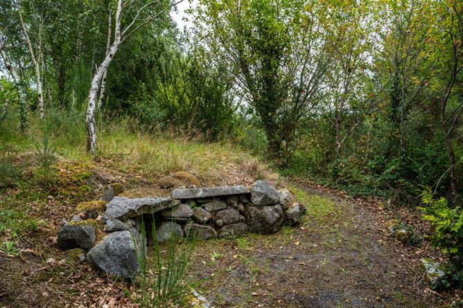 Monaincha, Moygrove, Foxford, Co. Mayo