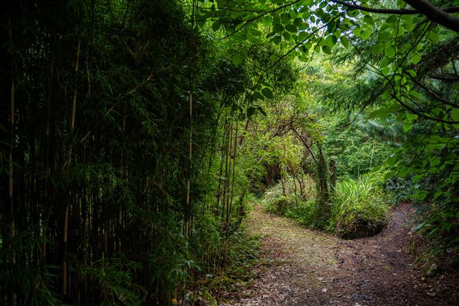 Monaincha, Moygrove, Foxford, Co. Mayo