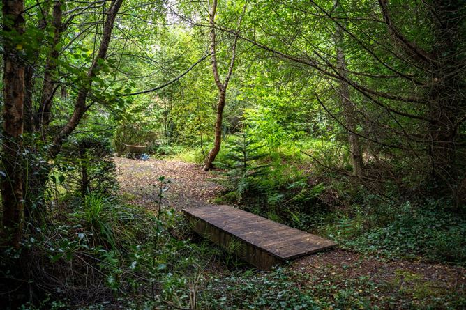 Monaincha, Moygrove, Foxford, Co. Mayo