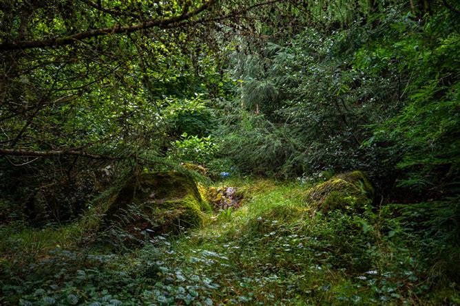 Monaincha, Moygrove, Foxford, Co. Mayo