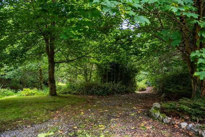 Monaincha, Moygrove, Foxford, Co. Mayo