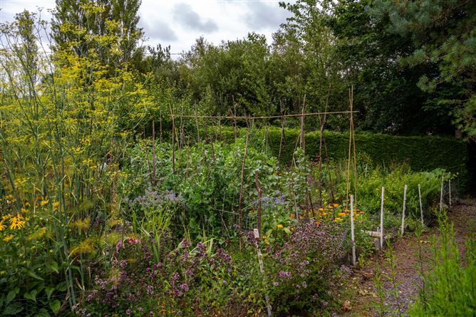 Monaincha, Moygrove, Foxford, Co. Mayo